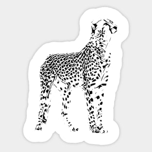 Cheetah Sticker